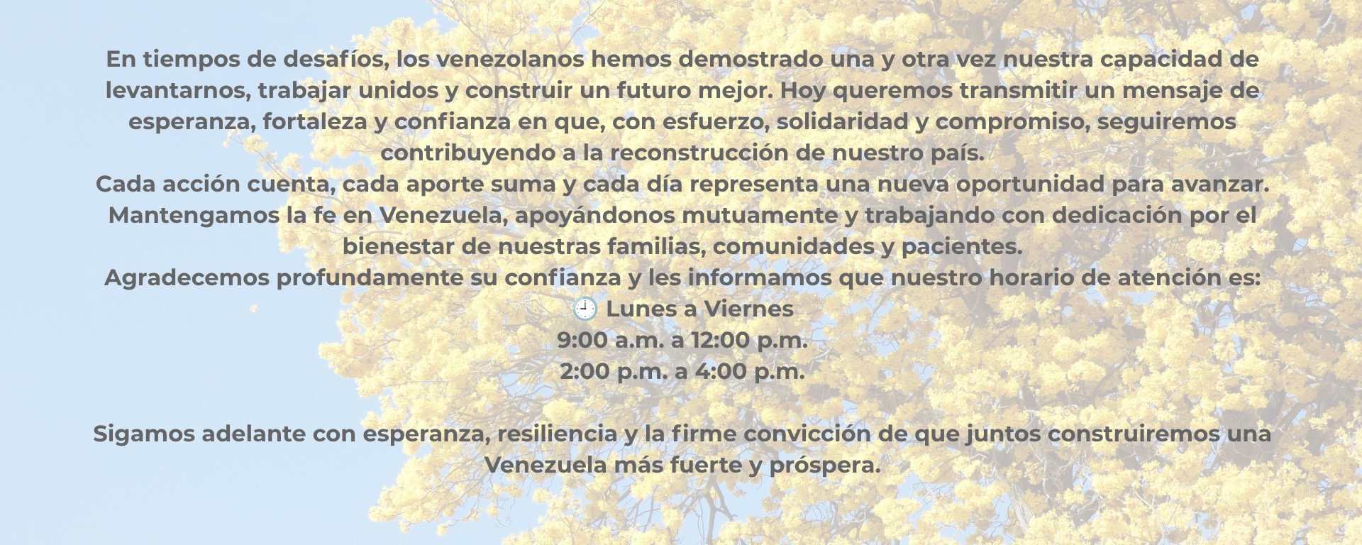 8 JULIO